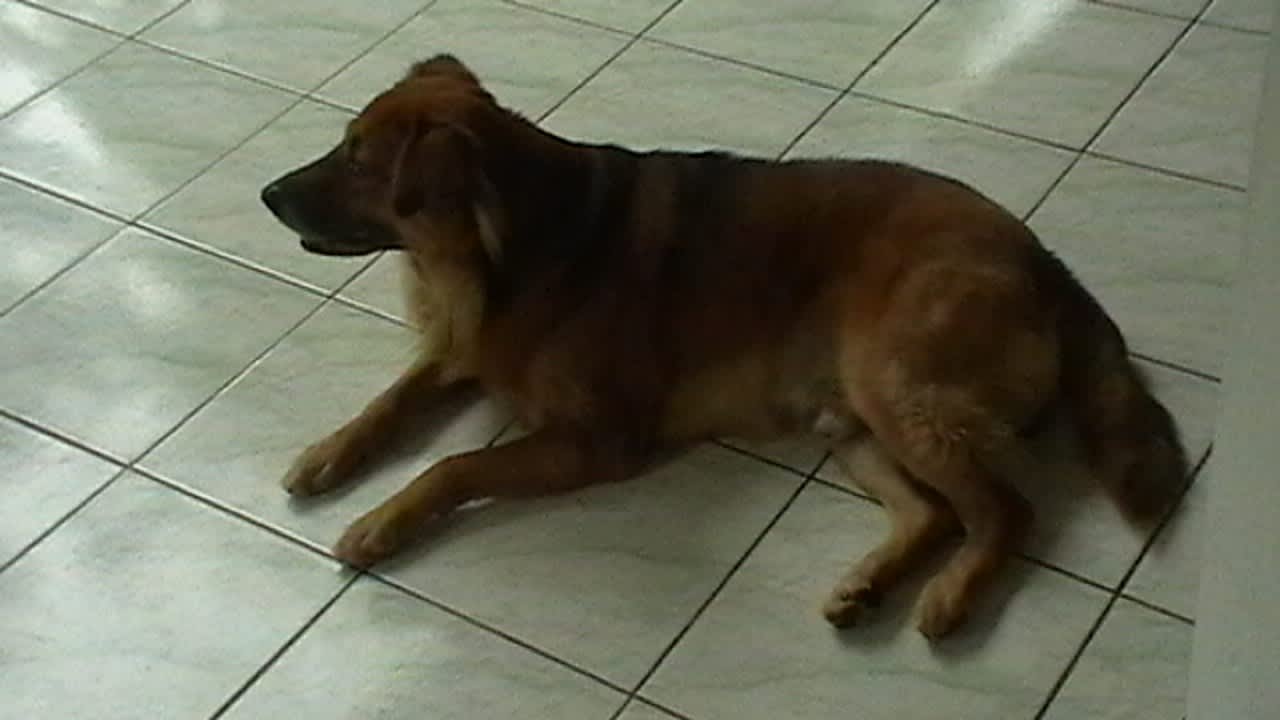 Sonstiges Sunshine Guesthouse