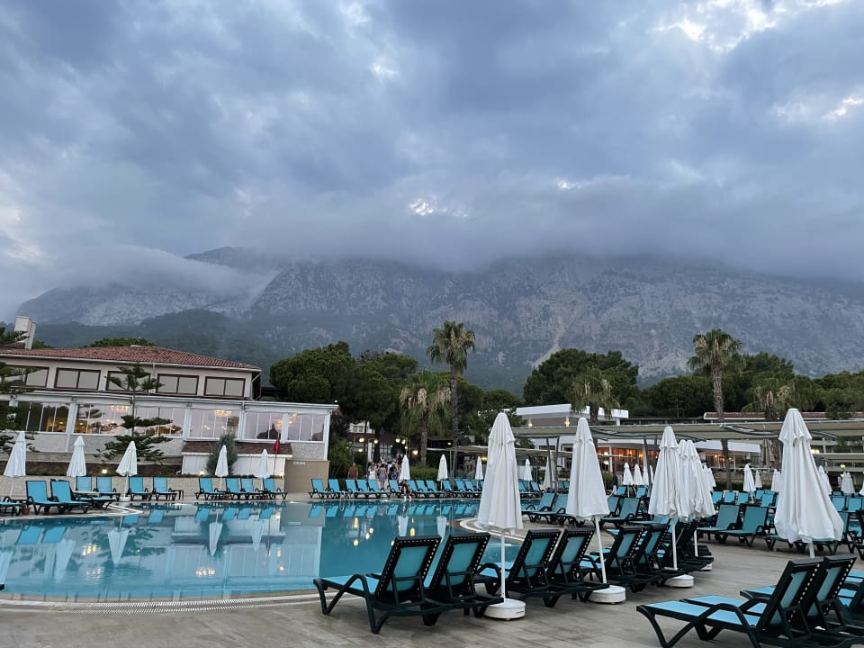 Pool Crystal Flora Pearl Collection