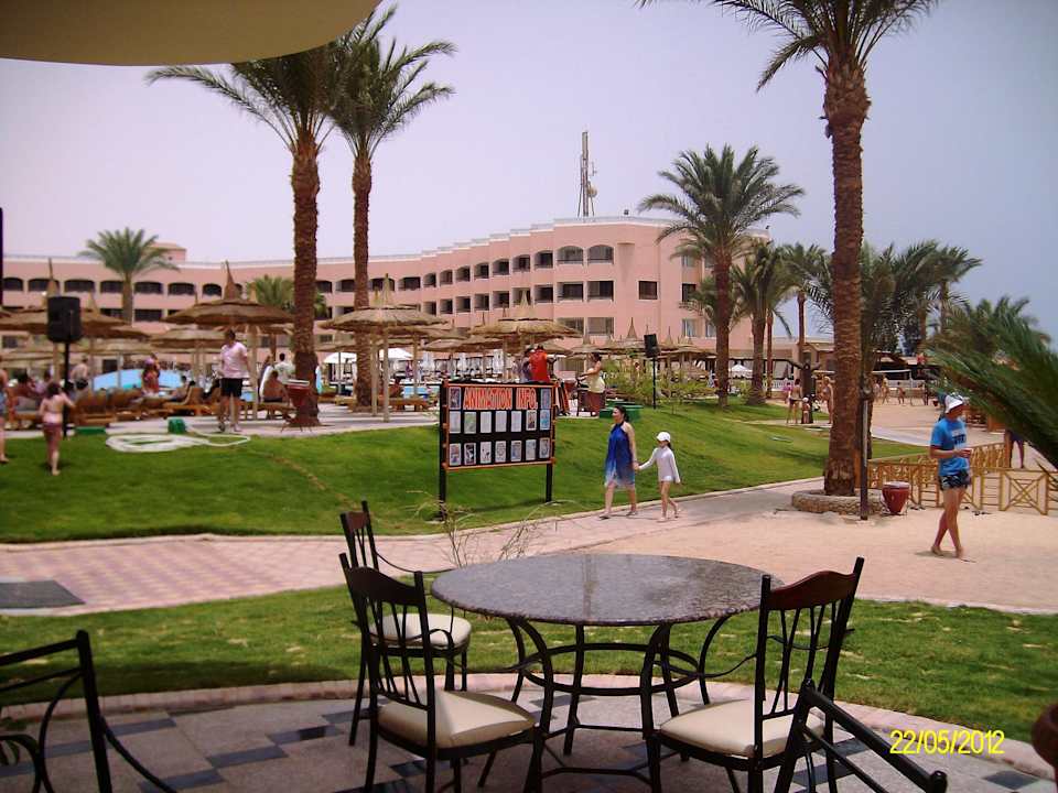 An der Pool-Strandbar Beach Albatros Resort