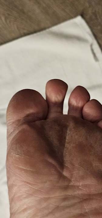 Zimmer Land-gut-Hotel Zur Linde