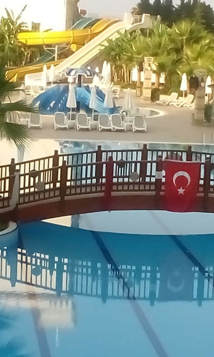 Super schön Dizalya Palm Garden