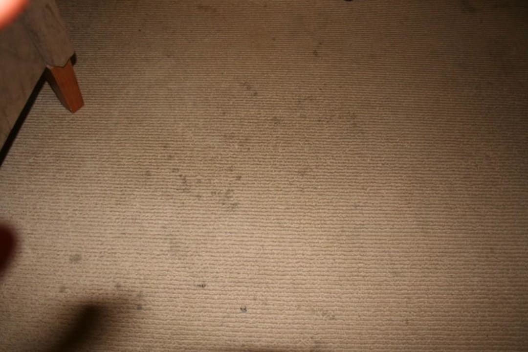 Teppichboden  Hotel Grand Chancellor