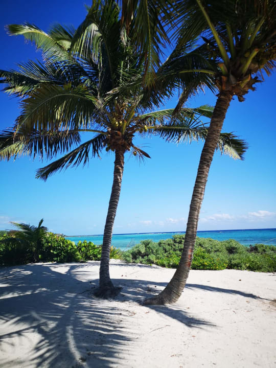 Strand Akumal Bay Beach & Wellness Resort