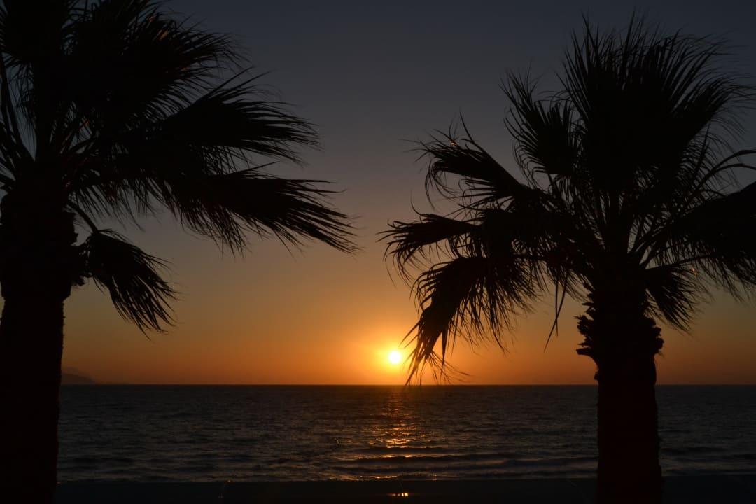 Restaurant Aussicht Palm Wings Kusadasi Beach Resort & Spa