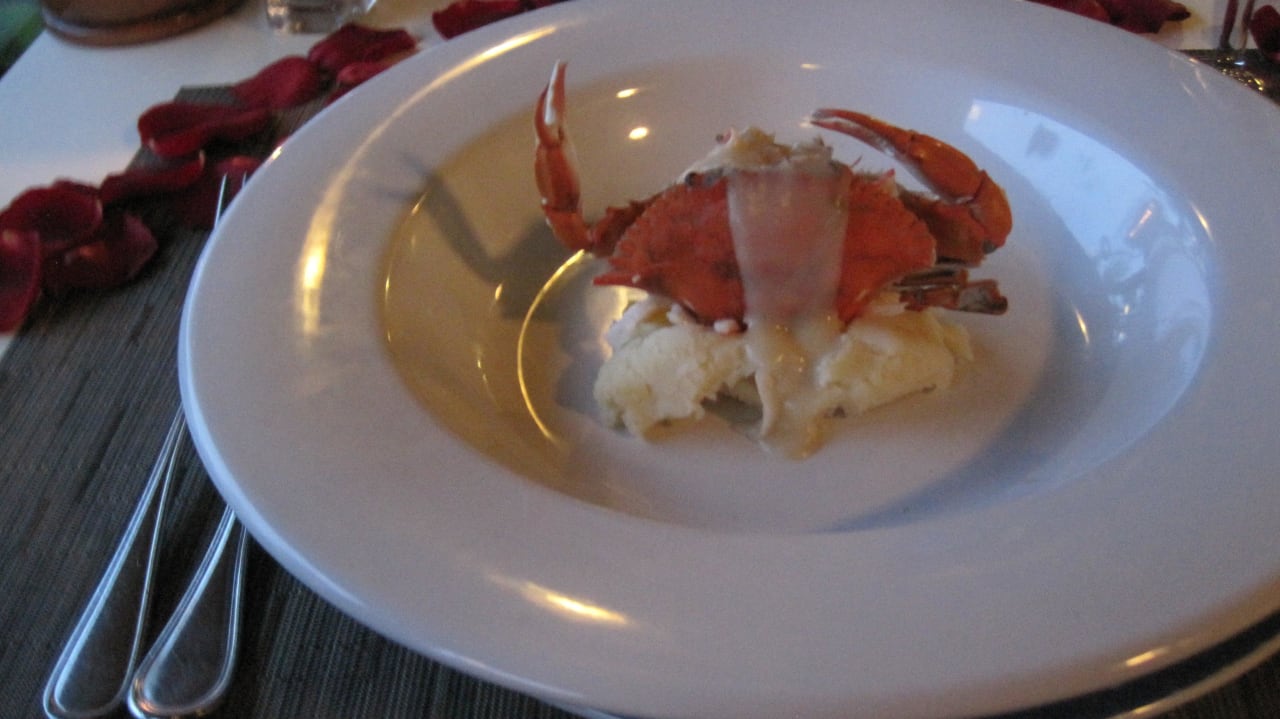 Krebs   Sandos Playacar Beach Resort