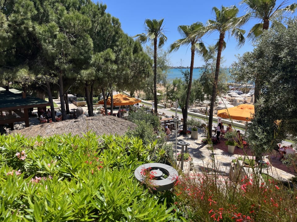 Gartenanlage Arum Barut Collection