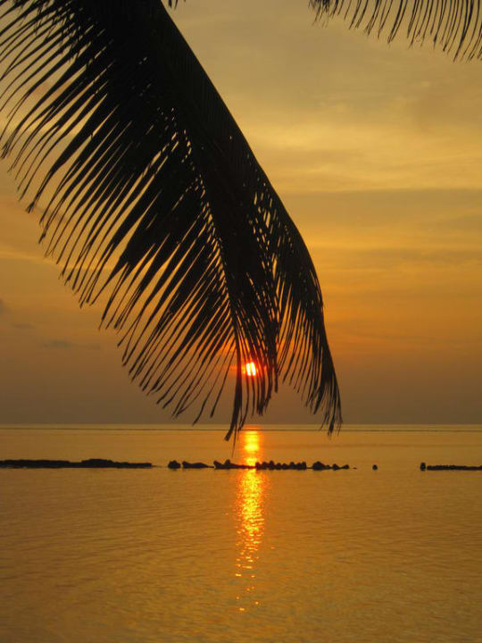 Einer der vielen traumhaften Sonnenuntergänge Summer Island Maldives