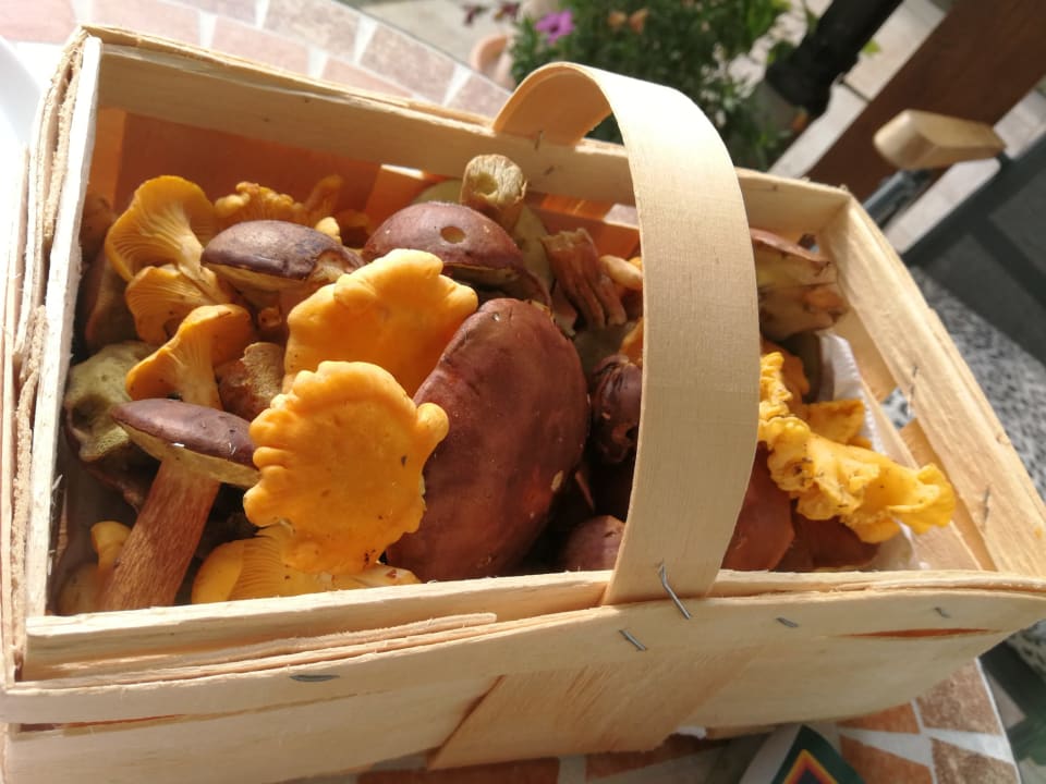 Sonstiges Landhaus Meine Auszeit