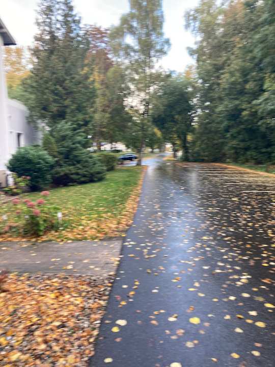 Außenansicht Seehotel Frankenhorst - BW Signature Collection