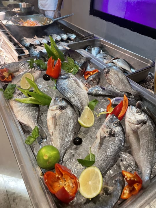 Gastro Iberostar Selection Kuriat Palace