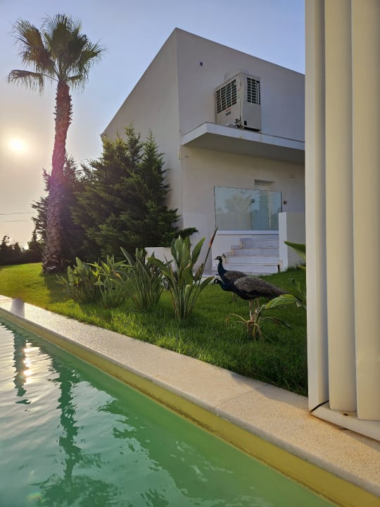 Ausblick White Dreams Resort & Anex