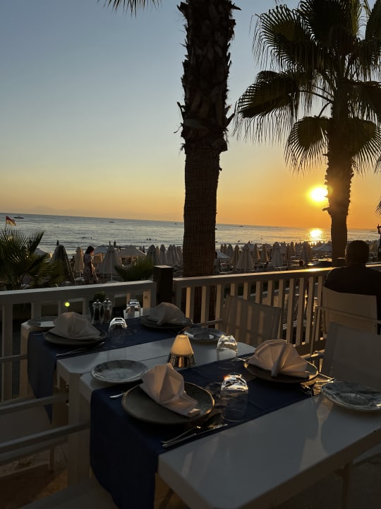 Gastro Acanthus Cennet Barut Collection