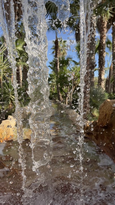 Gartenanlage TUI MAGIC LIFE Africana