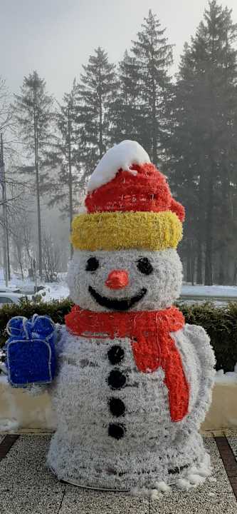 Sonstiges CAREA Residenz Hotel Harzhöhe