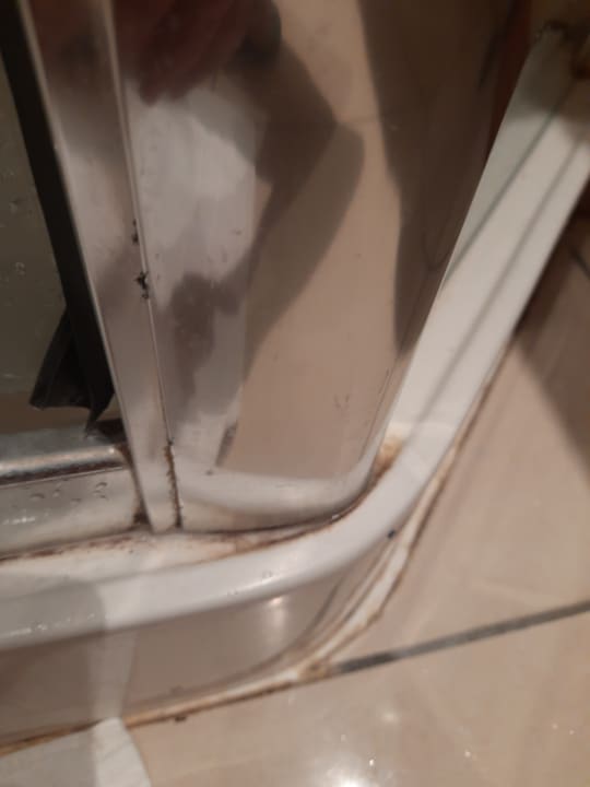 Zimmer Hotel De France Et Chateaubriand