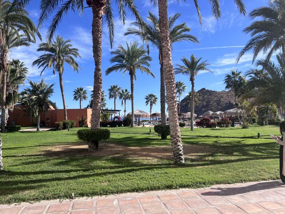 Gartenanlage Loreto Bay Golf Resort & Spa at Baja