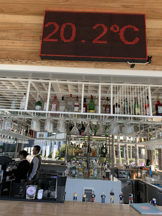 Gastro Acanthus Cennet Barut Collection