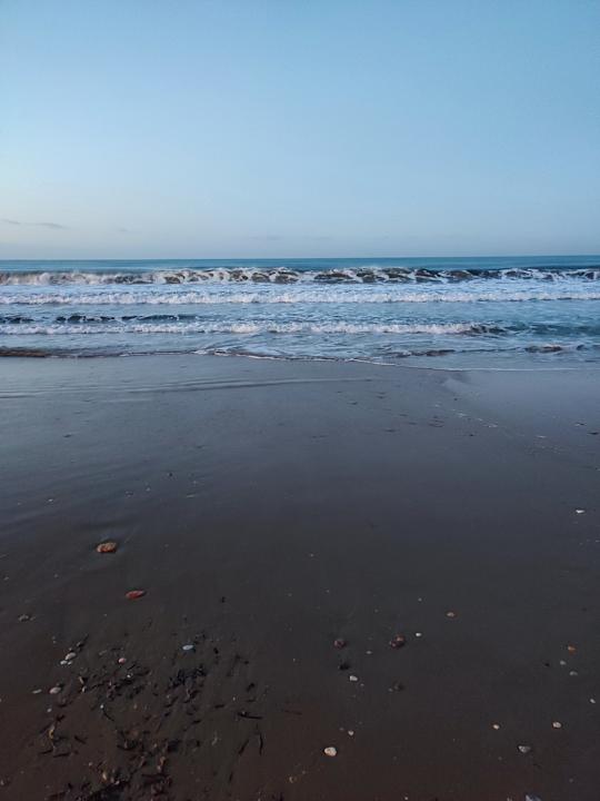 Strand Acanthus Cennet Barut Collection