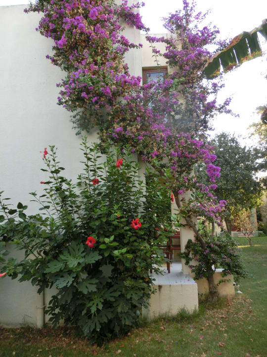 Gartenanlage VONRESORT Golden Beach