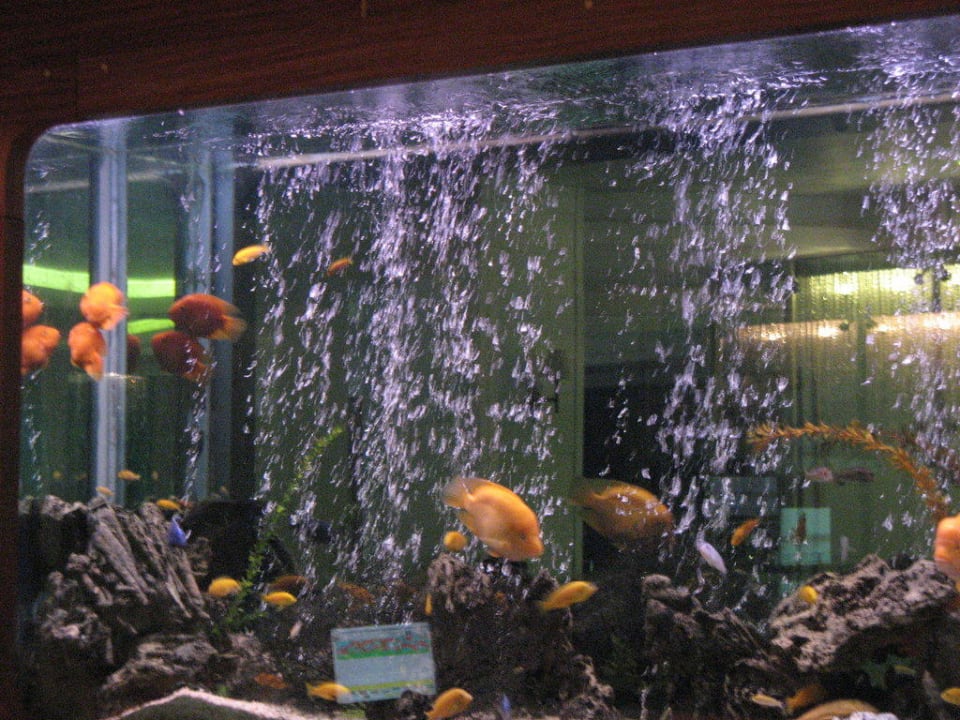 Aquarium Hotel Grand Side
