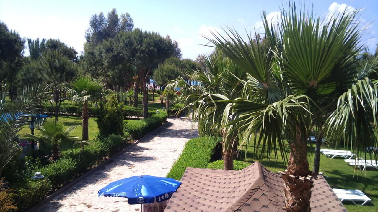 Ausblick Club Turtas Beach Hotel