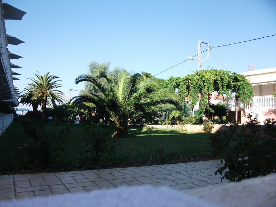Garten vom Zimmer Hotel Belussi Beach