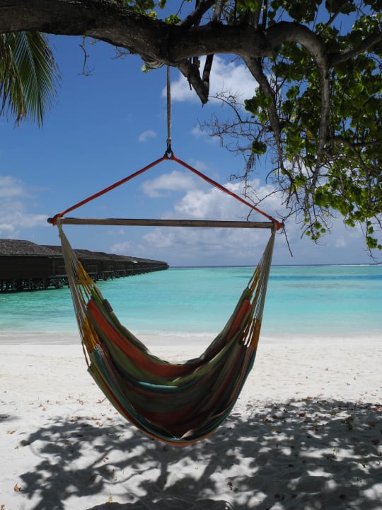 Strand Meeru Maldives Resort Island