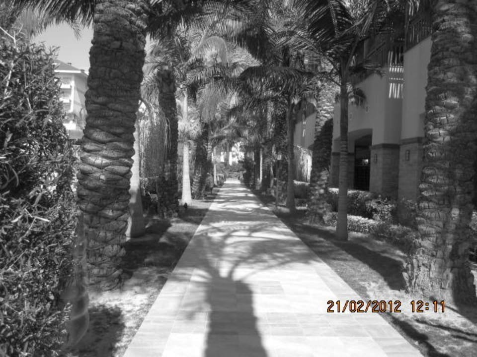 Weg zum Meer Sunis Kumköy Beach Resort Hotel & Spa