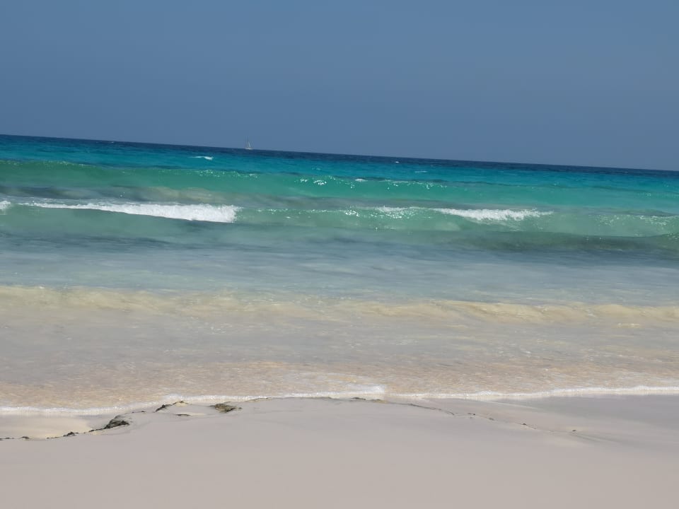 Strand Hotel Riu Oliva Beach Resort