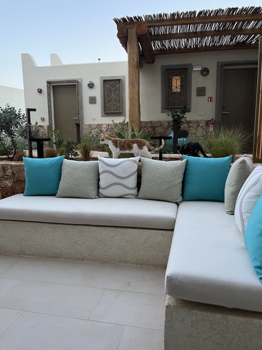 Zimmer Mitsis Selection Rinela