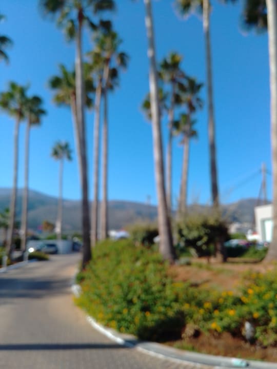 Gartenanlage allsun Hotel Carolina Mare