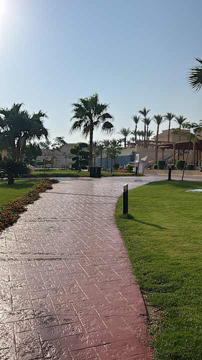 Pool Cleopatra Luxury Resort Makadi Bay