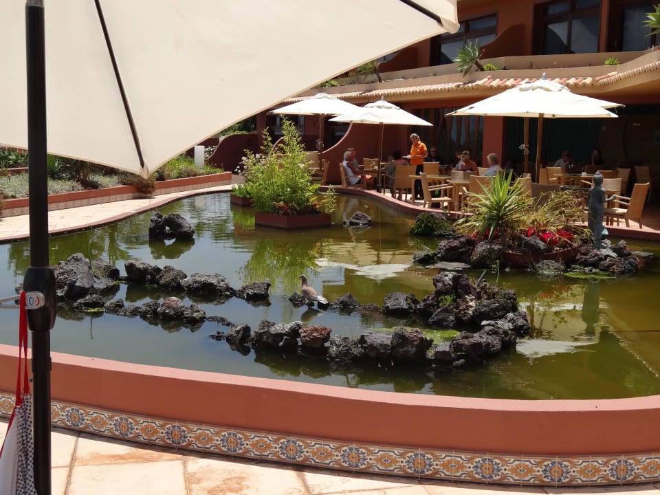 Teich an der Sidhardabar Hotel Quinta Splendida Wellness & Botanical Garden