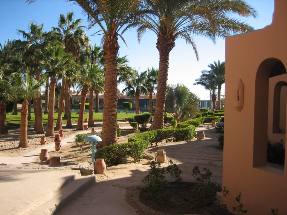 Auf dem Weg zum Restaurant Club Paradisio El Gouna, Red Sea