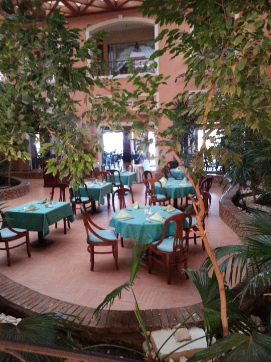 Gastro Imperial Shams Abu Soma