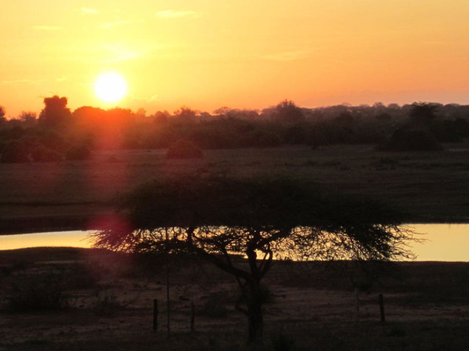 Ausblick vom Zimmer Voi Wildlife Lodge