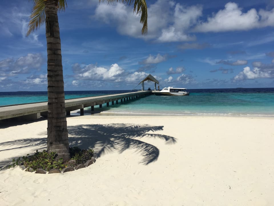 Lobby NH Collection Maldives Havodda Resort