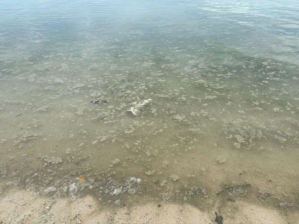 Strand Dara Samui Beach Resort