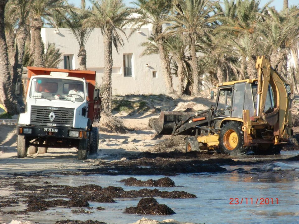 Kampf gegen die Algen Hotel El Mouradi Djerba Menzel