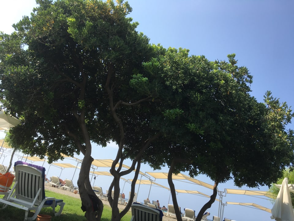 Gartenanlage Labranda Alantur Resort