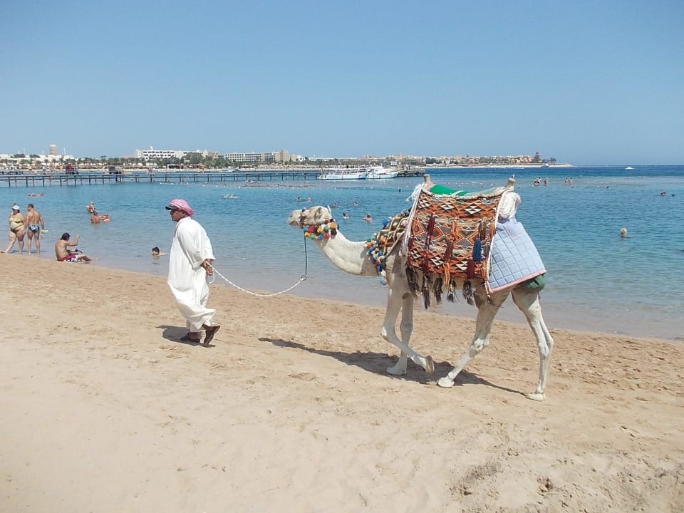 Taxi am Strand Hotel JAZ Makadi Star & Spa