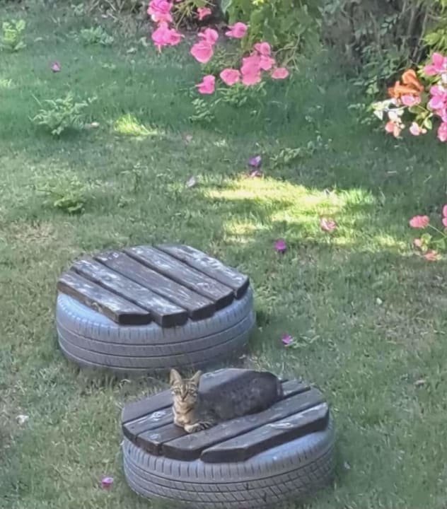 Gartenanlage Aleria Belport Beach Hotel