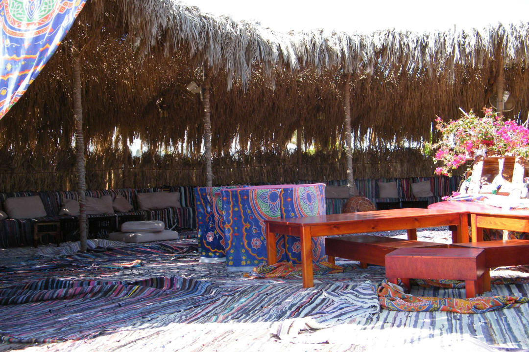 Beduinenzelt innen Hotel Gorgonia Beach Resort