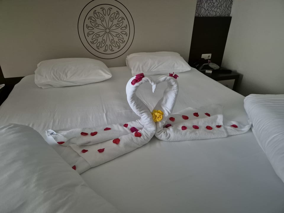Zimmer Side Alegria Hotel & Spa - Adults only +16