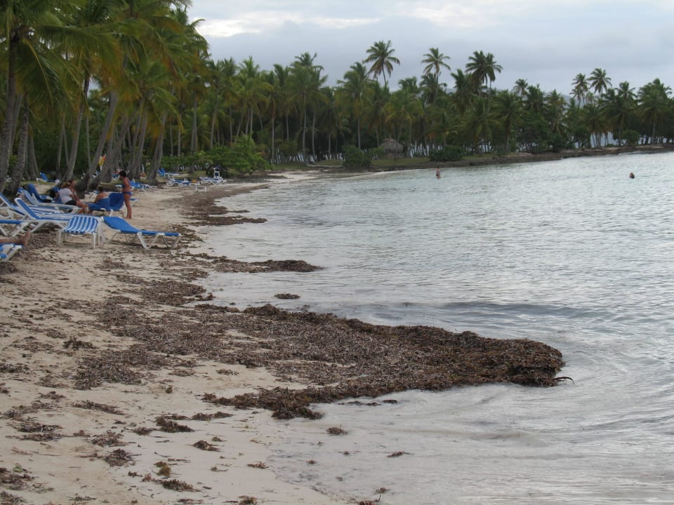 Toller Strand ? Wyndham Alltra Samana