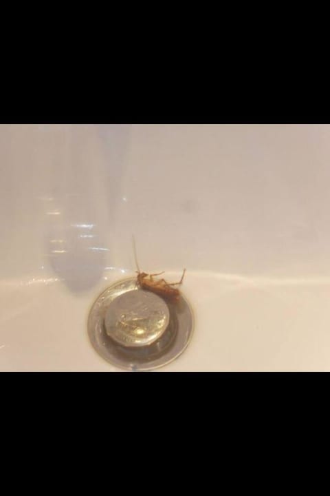 Nicht die erste und letzte gewesen El Mouradi Club Kantaoui