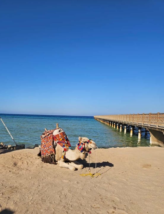 Strand Makadi Spa - Adults only