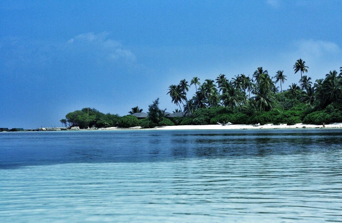 In der Nähe der Sangu Water Villas Kuredu Island Resort & Spa