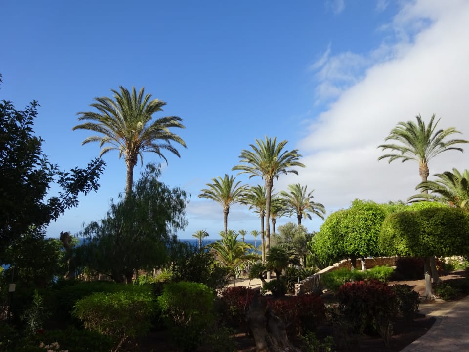 Gartenanlage R2 Rio Calma Hotel & Spa & Conference