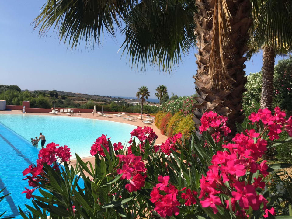 Pool und Vegetation VOI Marsa Siclà Essentia